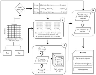 microBiomeGSM: the identification of taxonomic biomarkers from metagenomic data using grouping, scoring and modeling (G-S-M) approach